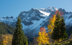 Interlaken Autumnal Mountains - Powder Pines Luxury Travel