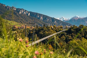 Interlaken Suspension Bridge - Powder Pines Luxury Travel